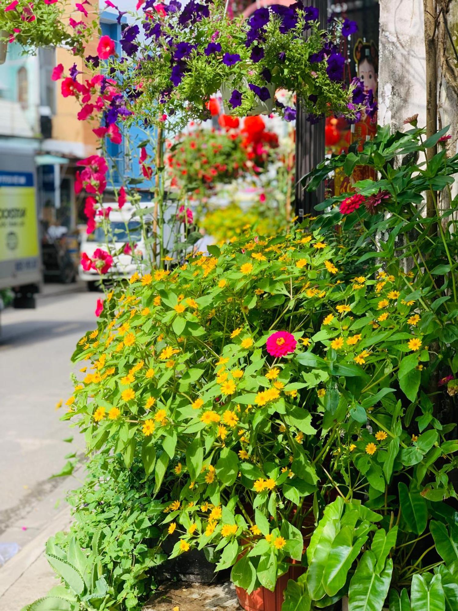 May'S House Hoi An Luaran gambar