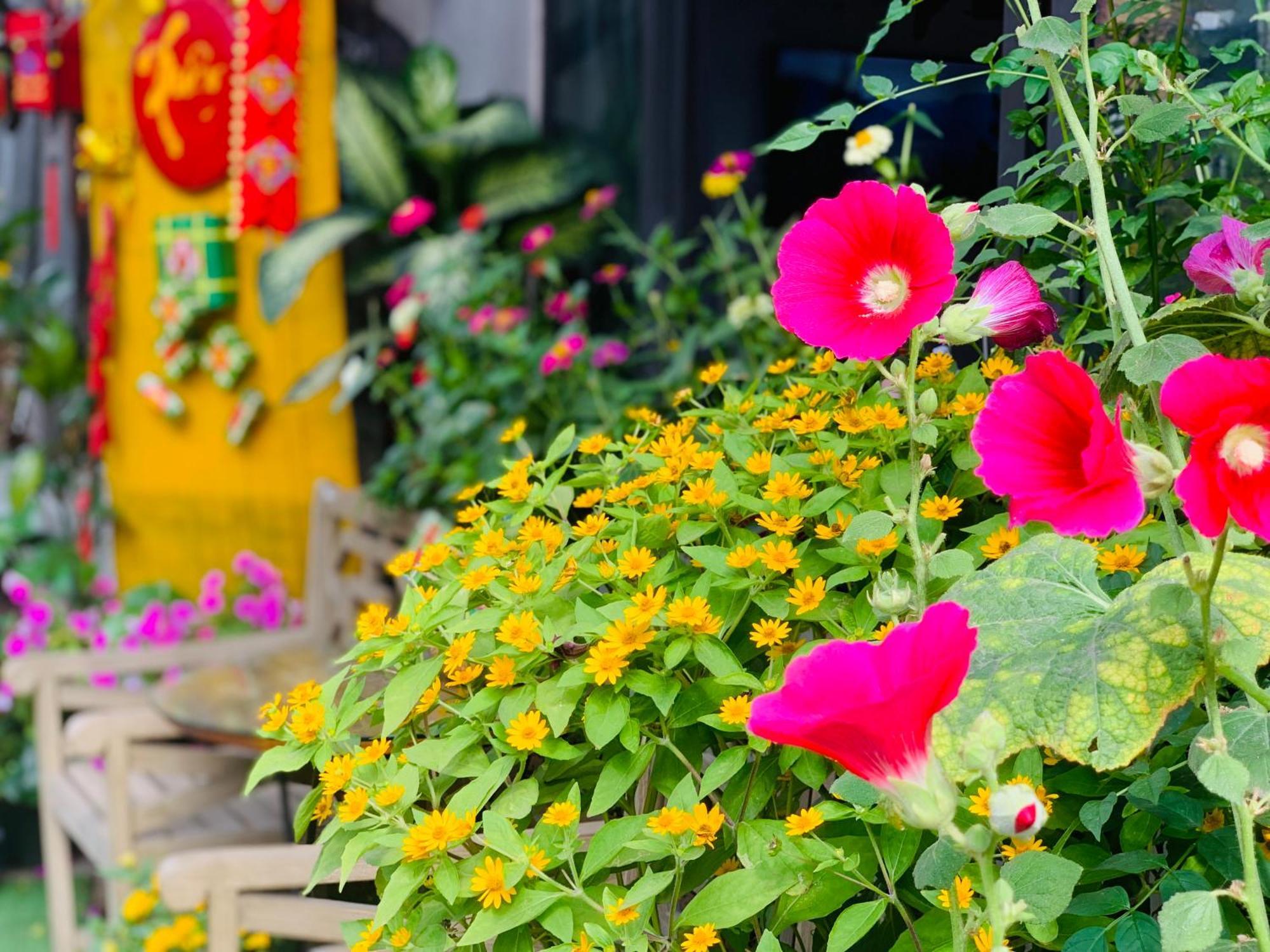 May'S House Hoi An Luaran gambar